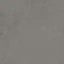 Norwich tegel Porselein 120 x 120