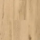 Spirit Soul Gd 55 Plank