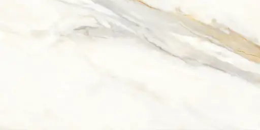 [49012] EasyTiles Anubis tegel Porselein 60 x 120 